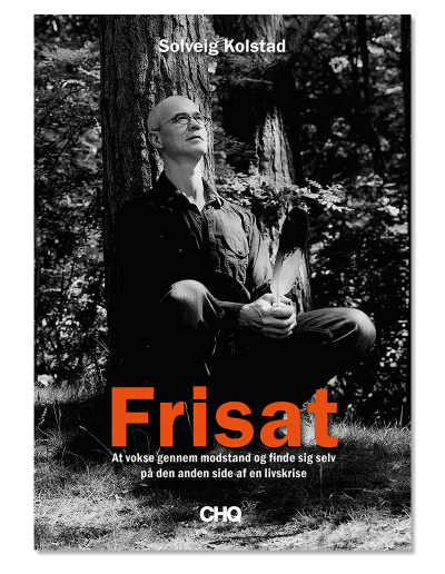 Frisat