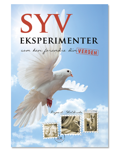 Syv-eksperimenter