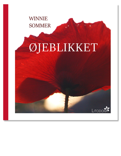 Øjeblikket